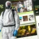 Debug – Insect Extermination & Pest Control WordPress Theme