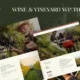 Vineso – Wine & Vineyard WordPress Theme