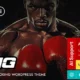 Ring – Martial Arts & Karate Fighting WordPress Theme