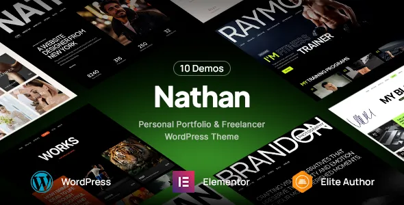Nathan - Personal Resume CV Portfolio WordPress Theme