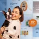 Peten – Pet Store & Pet Care Responsive Shopify 2.0 Theme
