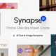 Synapse – Creative MultiPurpose WordPress & WooCommerce Theme