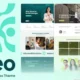 HIREO – Consulting WordPress Theme