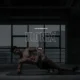 Ironex – Fitness WordPress Theme