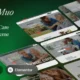 CareMuo – Senior Home Care WordPress Theme